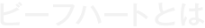 ビーフハートとは